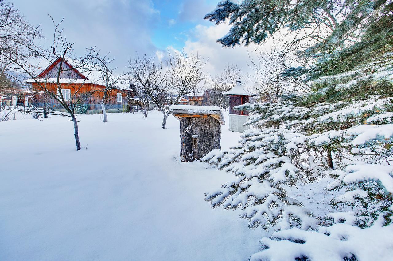 Holiday home Medova Hata Mykulychyn